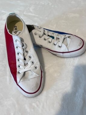 Custom Hand-Painted Converse Chuck Taylor All Stars  Women's Size 8.5